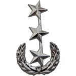 National Police of Panama badge - Image 2
