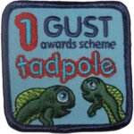 Embroideried Patches