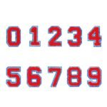 Chenille Patches - Image 2